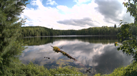 Image from 2025-07-08