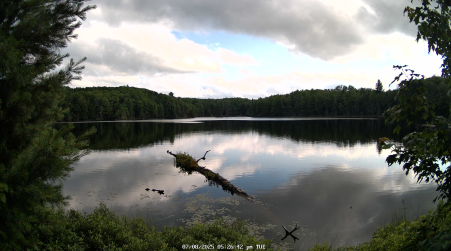 Image from 2025-07-08