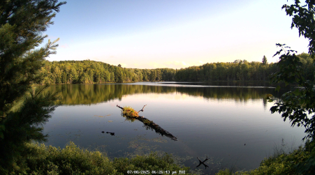 Image from 2025-07-08