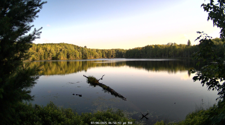 Image from 2025-07-08