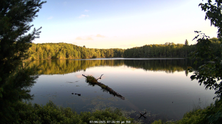 Image from 2025-07-08