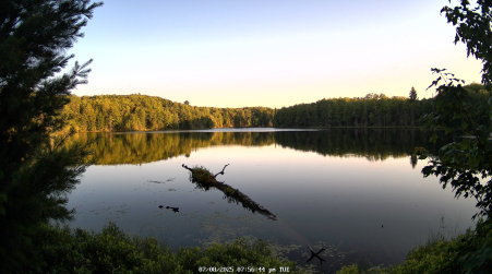 Image from 2025-07-08