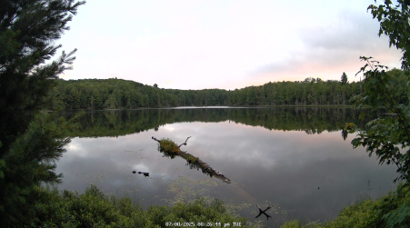 Image from 2025-07-08