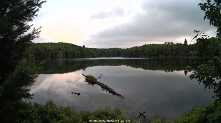 Image from 2025-07-08