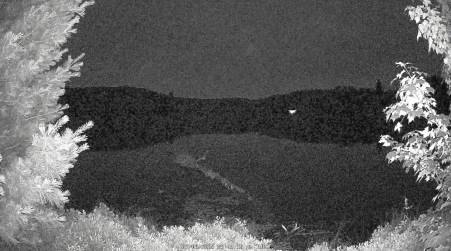 Image from 2025-07-08