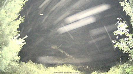 Image from 2025-07-09