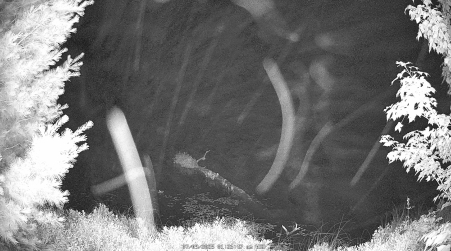 Image from 2025-07-09