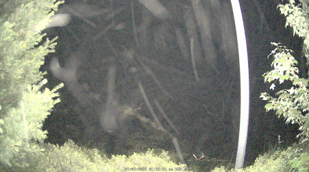 Image from 2025-07-09