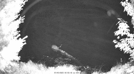 Image from 2025-07-09