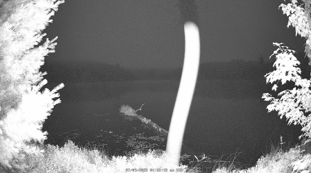 Image from 2025-07-09