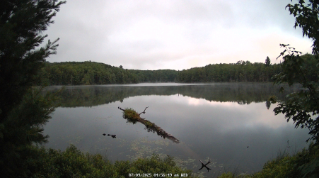 Image from 2025-07-09