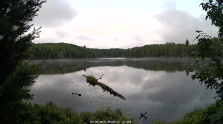 Image from 2025-07-09