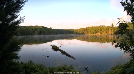 Image from 2025-07-09