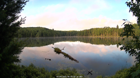 Image from 2025-07-09