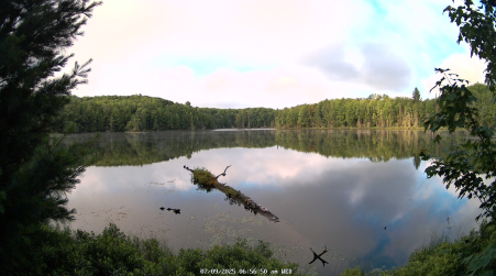 Image from 2025-07-09
