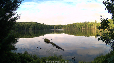 Image from 2025-07-09