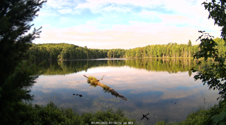 Image from 2025-07-09