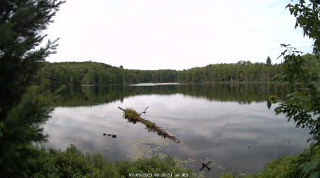 Image from 2025-07-09