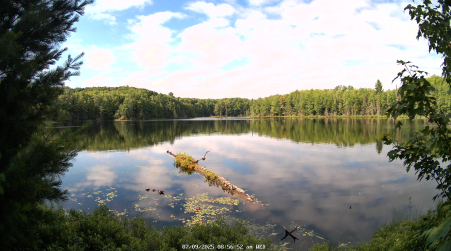 Image from 2025-07-09