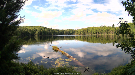 Image from 2025-07-09