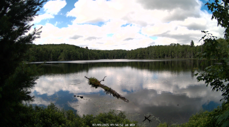 Image from 2025-07-09