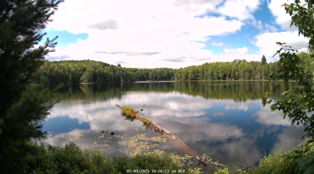 Image from 2025-07-09