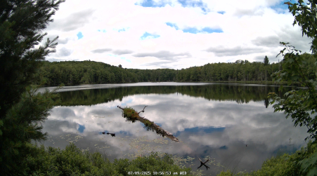 Image from 2025-07-09