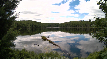 Image from 2025-07-09