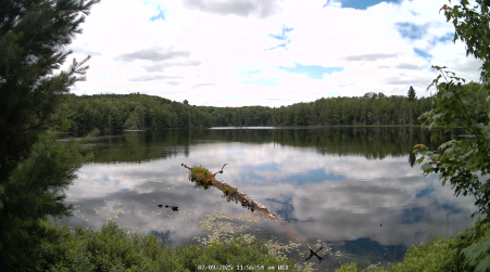 Image from 2025-07-09