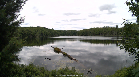 Image from 2025-07-09