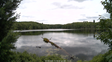 Image from 2025-07-09