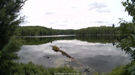 Image from 2025-07-09