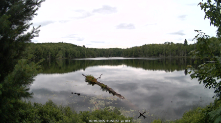 Image from 2025-07-09