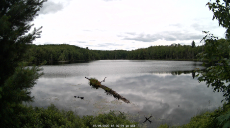 Image from 2025-07-09