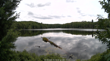 Image from 2025-07-09