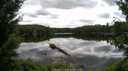 Image from 2025-07-09
