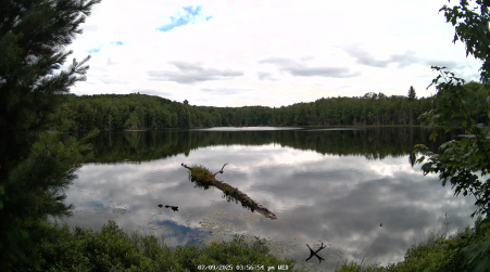 Image from 2025-07-09