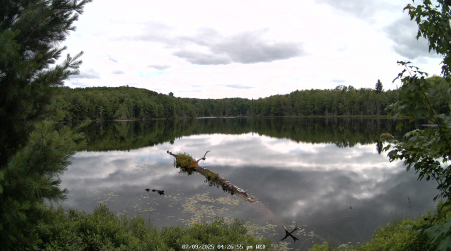 Image from 2025-07-09