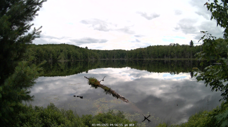 Image from 2025-07-09