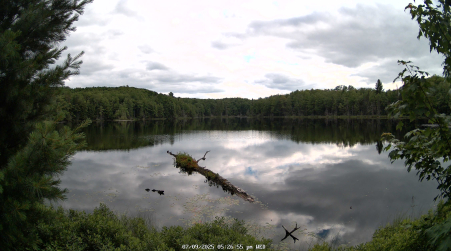 Image from 2025-07-09
