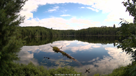 Image from 2025-07-09