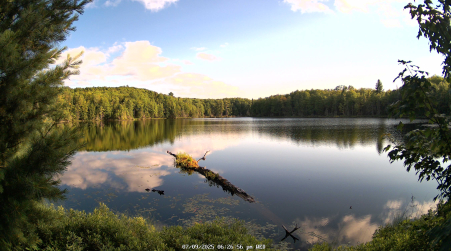 Image from 2025-07-09