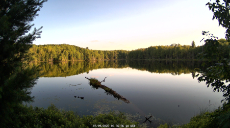 Image from 2025-07-09