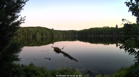 Image from 2025-07-09