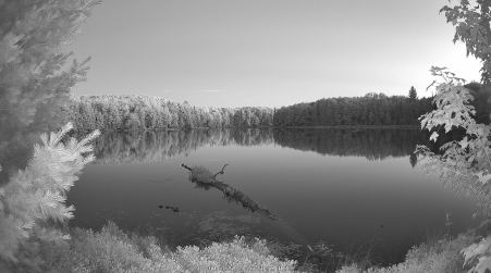 Image from 2025-07-09