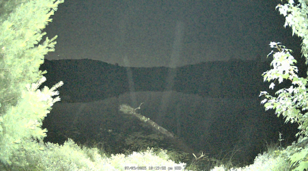Image from 2025-07-09