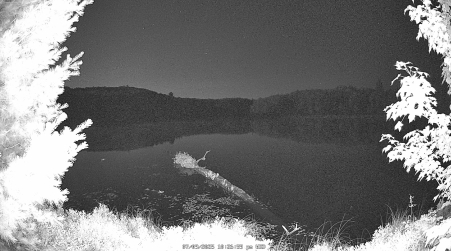 Image from 2025-07-09