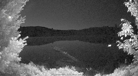 Image from 2025-07-09