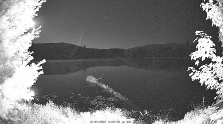 Image from 2025-07-09