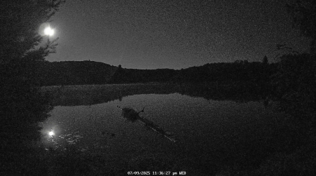 Image from 2025-07-09